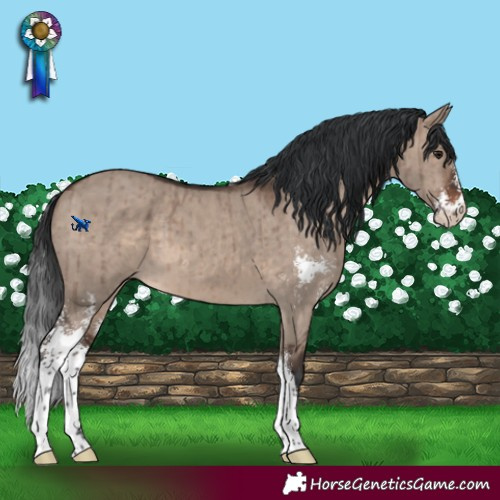 Horse Color:Brown Dun Mushroom Sabino Brindle