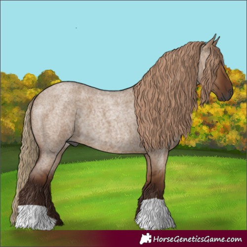 Horse Color:Gray Red Dun Roan