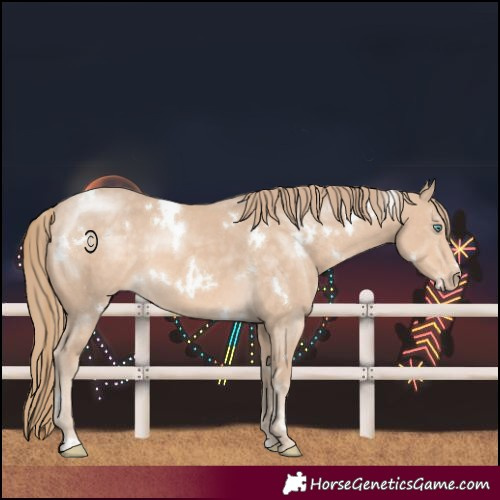 Horse Color:White Spotted Perlino