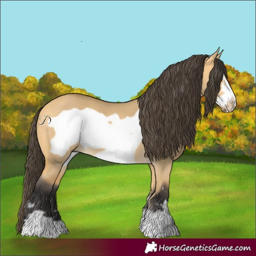 Horse Color:Buckskin Dun Frame 