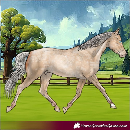 Horse Color:Gray Silver Classic Cream Champagne Ice Pearl