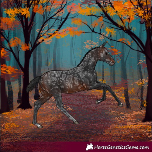 Horse Color:Brown Ice