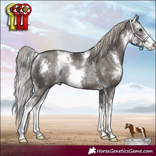 Horse Color:Silver Black Sabino Varnish Rabicano