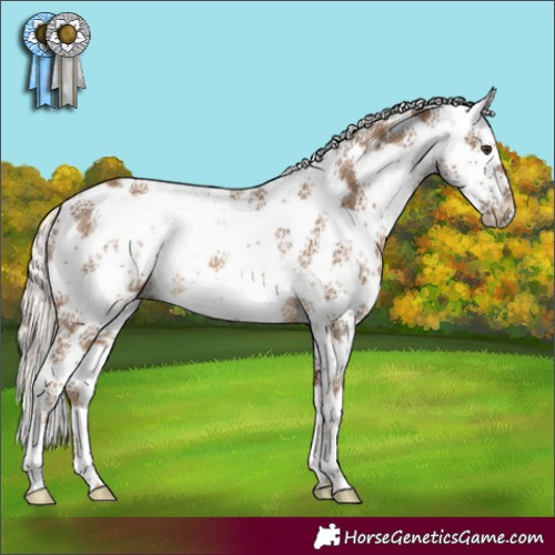 Horse Color:Chocolate Palomino Sabino Rabicano 