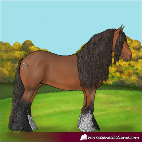 Horse Color:Bay Sabino