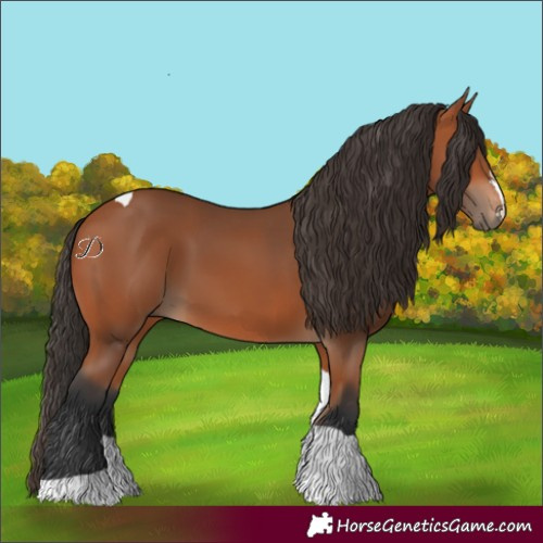 Horse Color:Bay Tobiano 