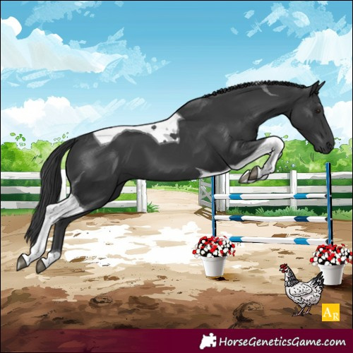 Horse Color:Unknown 