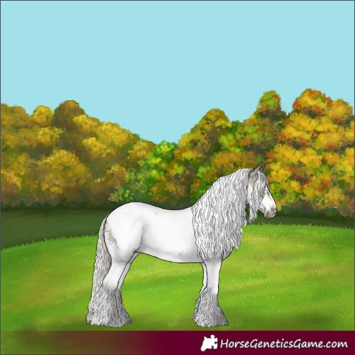 Horse Color:Silver Smoky Black Sabino Tobiano Frame Rabicano 