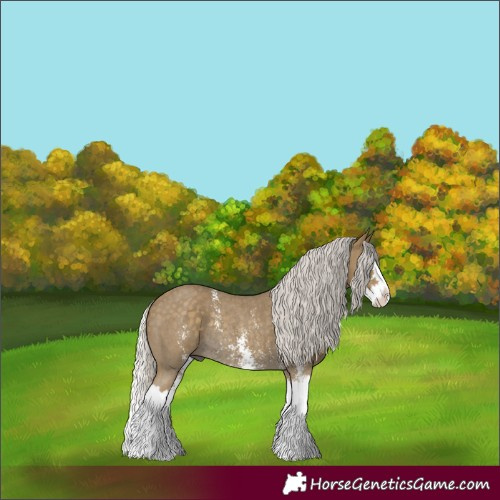 Horse Color:Silver Smoky Black Sabino Splash Rabicano 