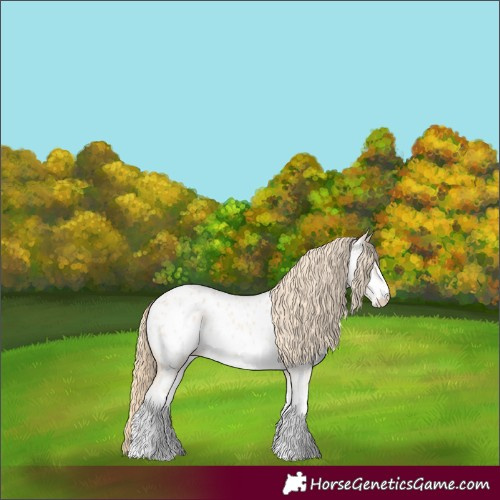 Horse Color:Perlino Sabino Near Leopard Rabicano 