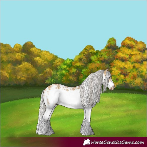 Horse Color:Silver Buckskin Sabino Frame Rabicano 