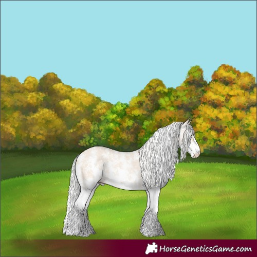 Horse Color:Silver Perlino Sabino Rabicano