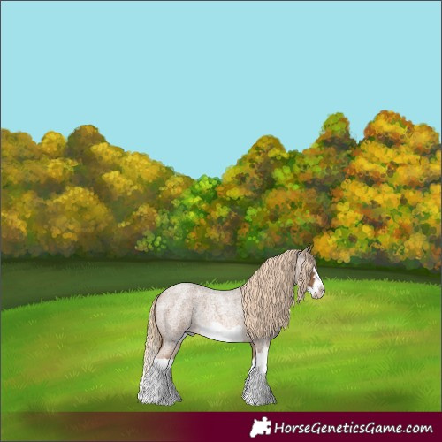 Horse Color:Chocolate Palomino Roan Splash Frame Rabicano 