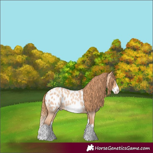 Horse Color:Gold Champagne Roan Splash Frame Blanket 