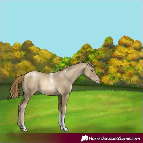 Horse Color:Smoky Black Pearl Tobiano 