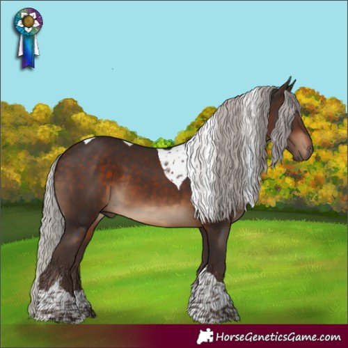 Horse Color:Silver Bay Tobiano