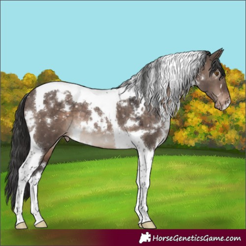 Horse Color:White Spotted Brown Dun Mushroom Tobiano Snowcap 