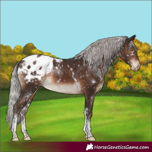 Horse Color:White Spotted Silver Brown Tobiano Blanket Rabicano