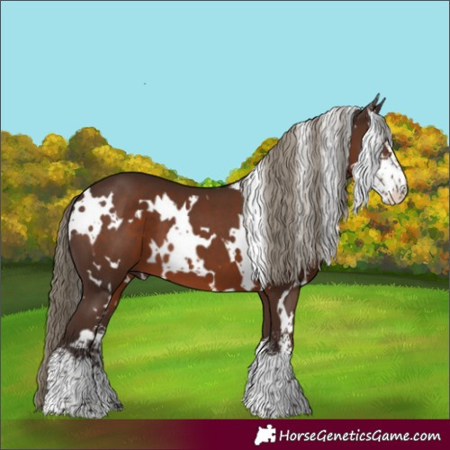 Horse Color:White Spotted Liver Chestnut Sabino 