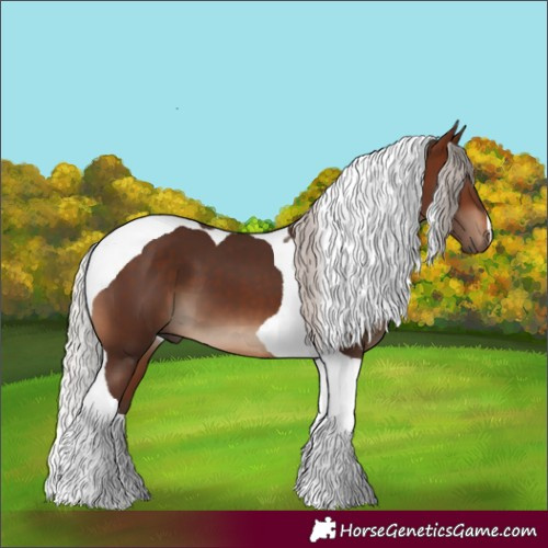Horse Color:Silver Brown Tobiano 