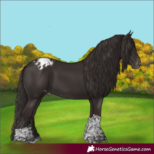 Horse Color:Liver Chestnut Tobiano Varnish 