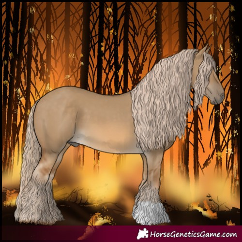 Horse Color:Chocolate Palomino Dun 
