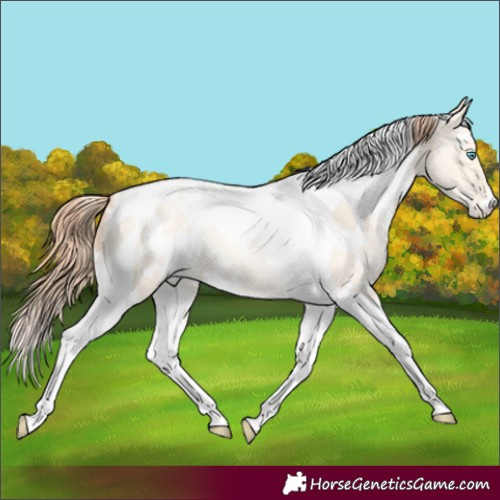 Horse Color:White Spotted Classic Cream Champagne Pearl Dun Tobiano Varnish 