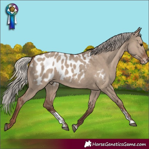 Horse Color:Silver Grullo Sabino Blanket