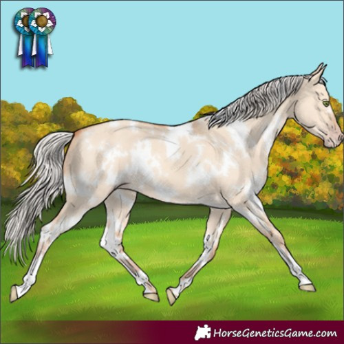 Horse Color:White Spotted Silver Amber Champagne Dun 