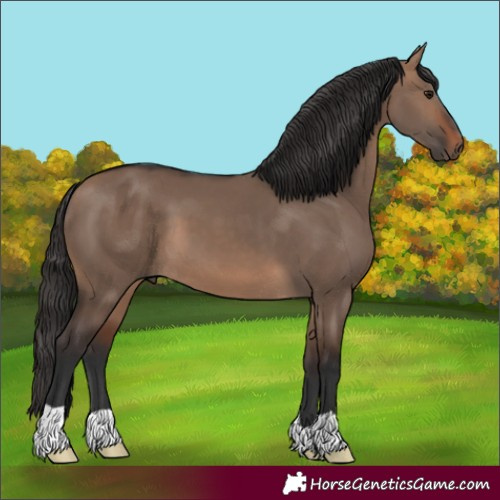 Horse Color:Brown Dun