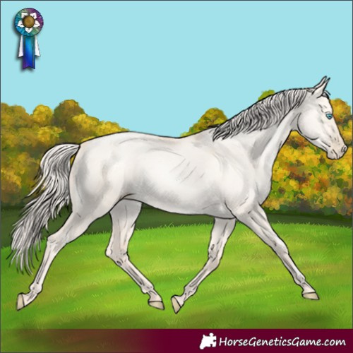 Horse Color:Gold Cream Champagne Pearl Dun Rabicano 
