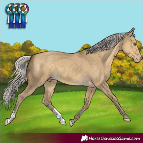 Horse Color:Silver Classic Cream Champagne Dun 
