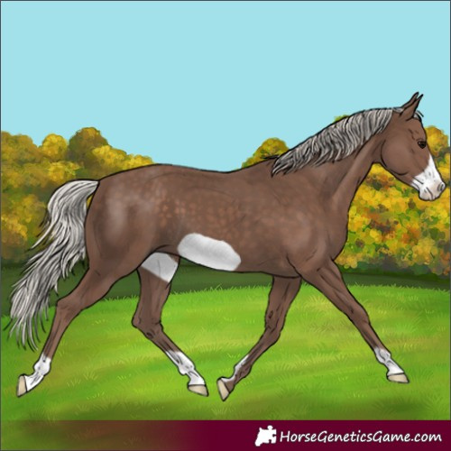 Horse Color:Silver Black Frame 