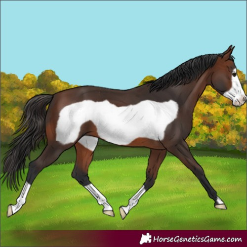 Horse Color:Brown Frame 