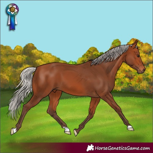 Horse Color:Silver Bay