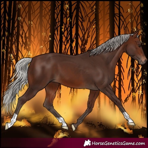 Horse Color:Silver Brown
