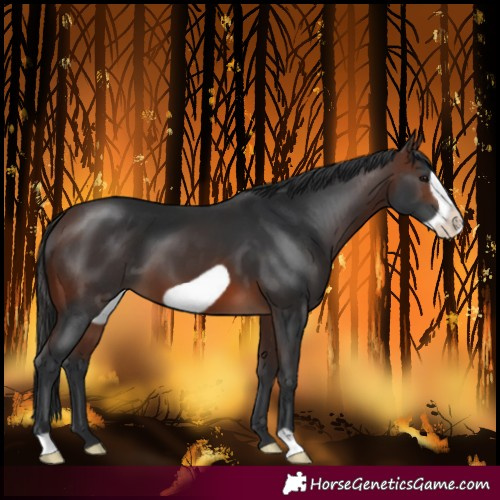 Horse Color:Brown Frame 
