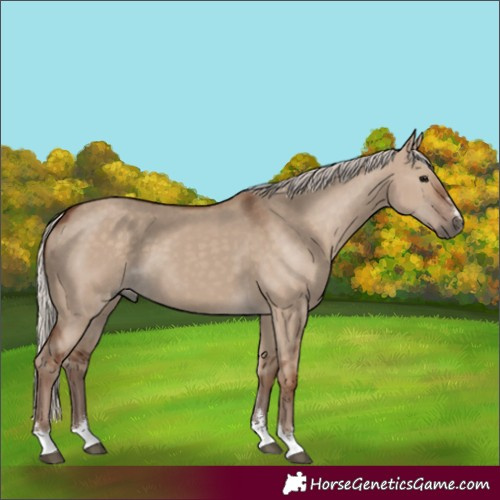 Horse Color:Silver Grullo