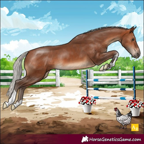 Horse Color:Silver Brown 