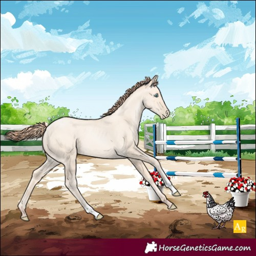 Horse Color:Classic Cream Champagne Pearl