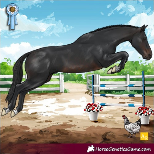 Horse Color:Brown 