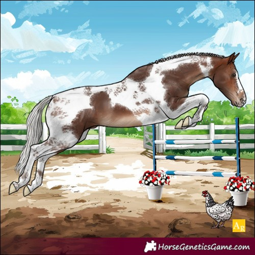 Horse Color:Silver Brown Tobiano