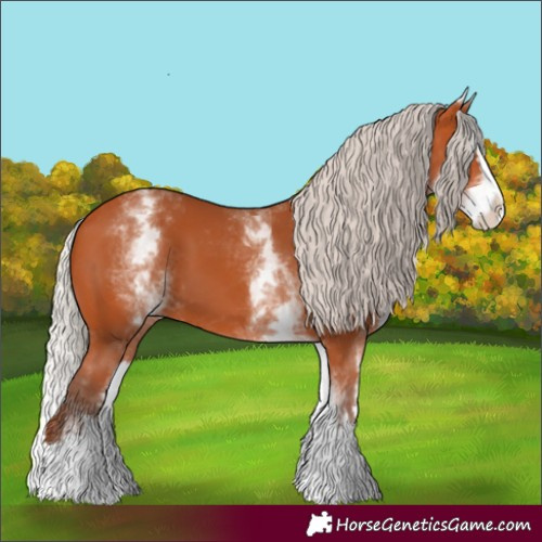 Horse Color:White Spotted Silver Bay Splash
