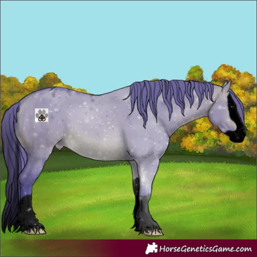 Horse Color:Void Watercolor Brown Dun Splash Varnish