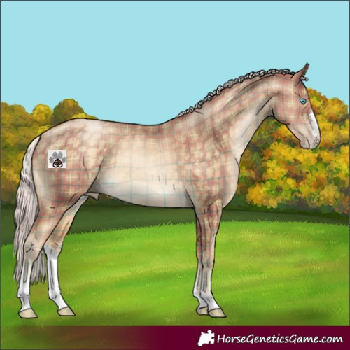 Horse Color:Plaid Silver Buckskin Pearl Sabino
