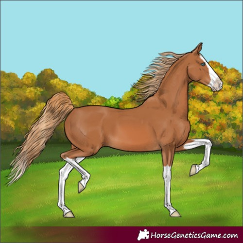 Horse Color:Unknown 