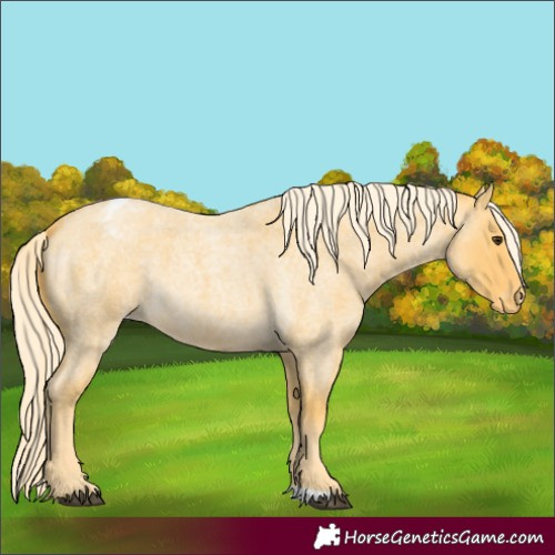 Horse Color:Palomino Roan Varnish 