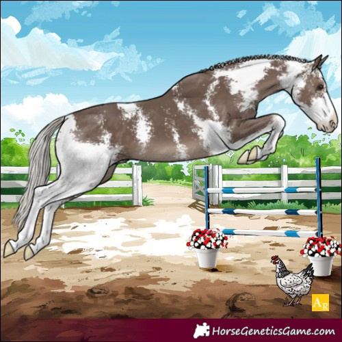 Horse Color:Silver Black Sabino