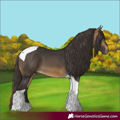 Horse Color:Buckskin Tobiano