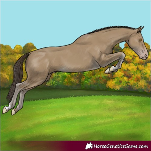 Horse Color:Classic Cream Champagne